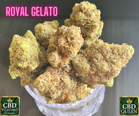Meilleure fleur à Perpignan, provenance de Amsterdam la Royal Gelato