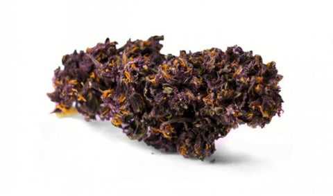 FLEUR OUTDOOR, la Big daddy purple