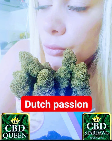 Boutique à Cagnes-sur-Mer, Magasin Stardawg