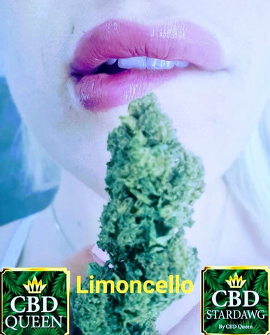 boutique à Cagnes-sur-Mer 06800, Magasin STARDAWG