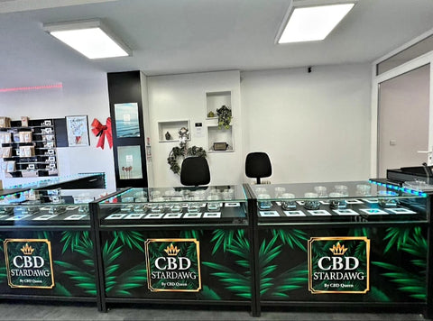 Intérieur Magasin STARDAWG Aix en Provence