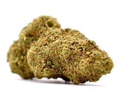 Magasin à Cagnes sur mer, fleur Jack herer
