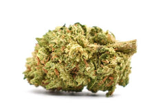 Fleur de cbd puissante à Cagnes sur mer , la Nothern-light .