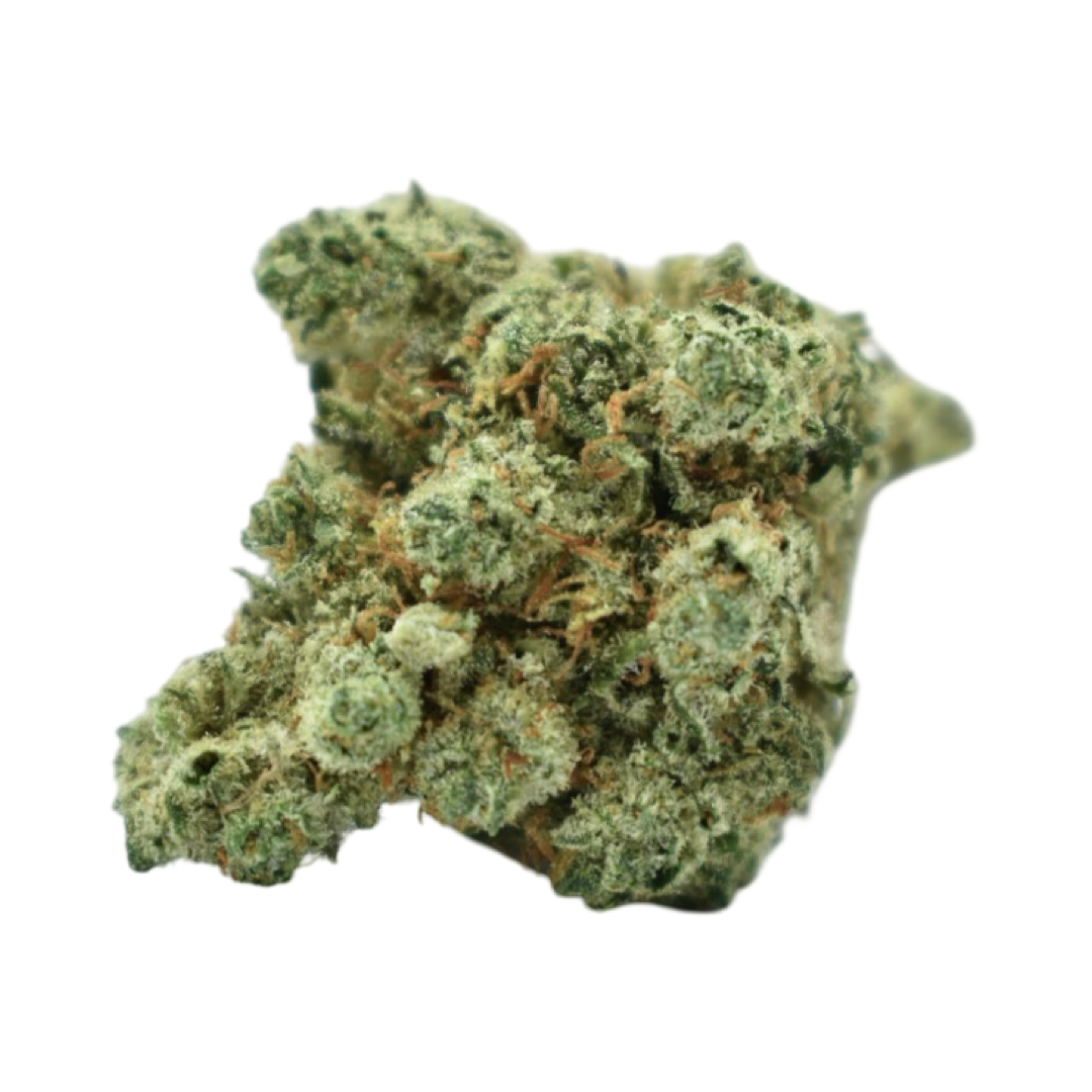 AMNESIA (THV2) – Image 3