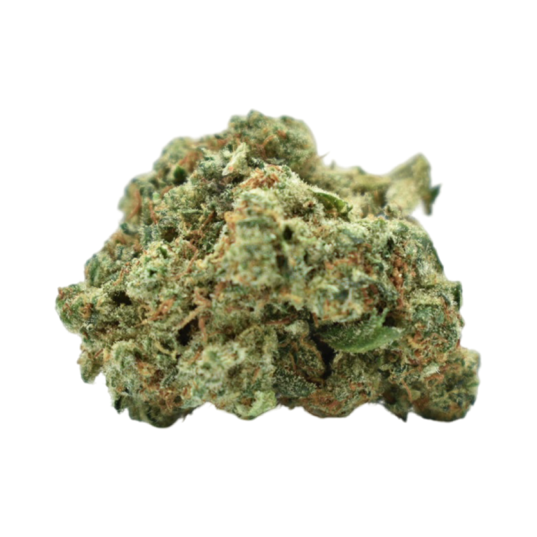 AMNESIA (THV2) – Image 2