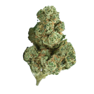 AMNESIA (THV2)
