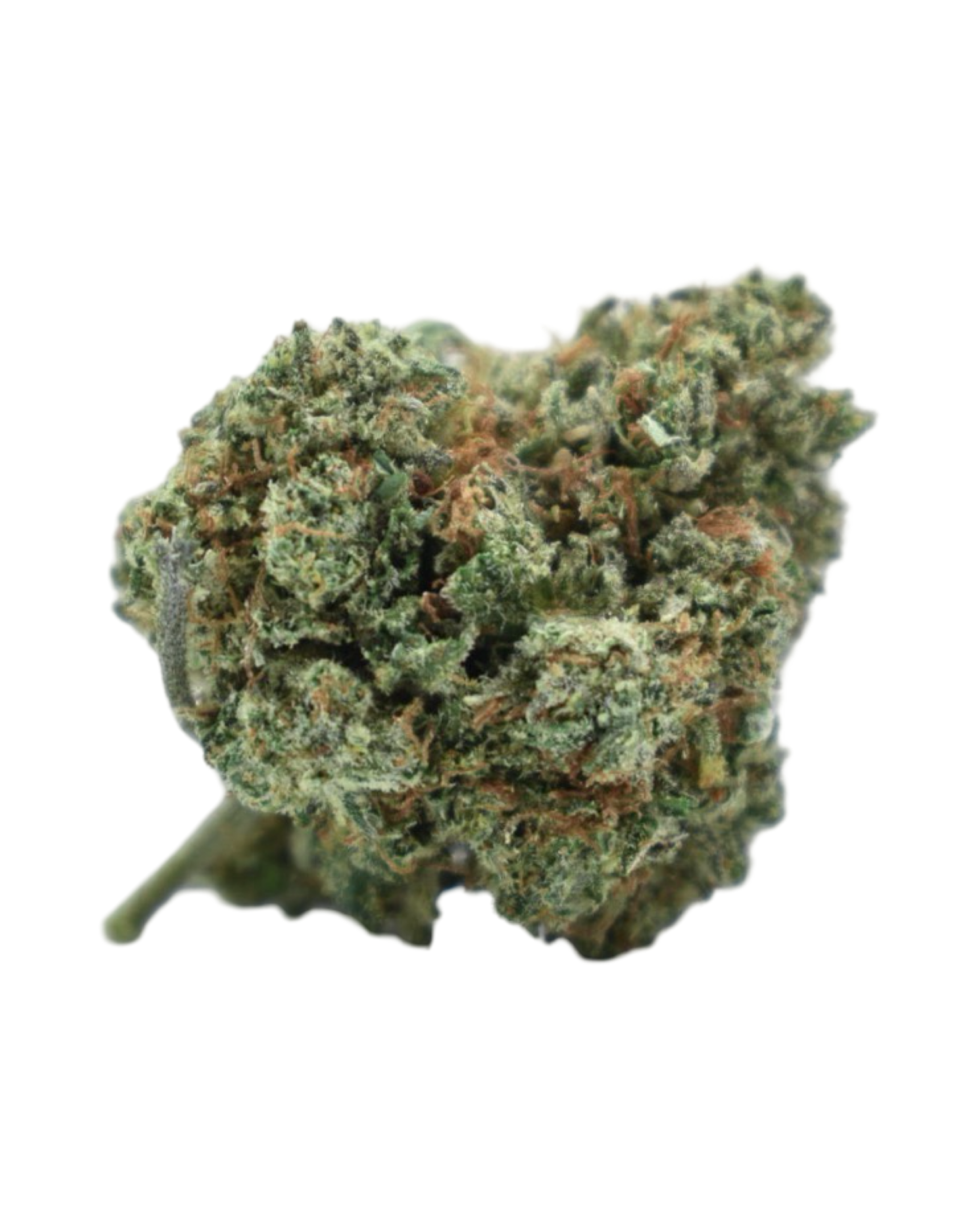 đGUAVA CBD PREMIUM â Image 2