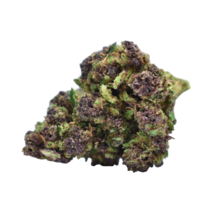 🪻PURPLE QUEEN (DC10)